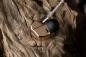 Preview: Final B1 In-Ear-Hörer