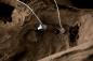 Preview: Final B3 In-Ear-Hörer