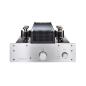 Preview: T.A.C Tube Amp Company T-22 Röhrenvollverstärker Silver