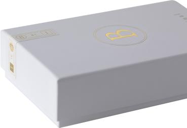 Final B1 In-Ear-Hörer