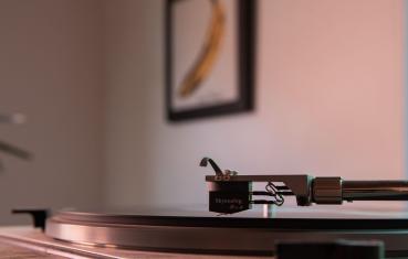Skyanalog P1 M Moving-Coil System