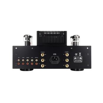 T.A.C Tube Amp Company T-22 Röhrenvollverstärker Silver