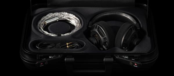 Final D8000 Pro Limited Edition Offener magnetostatischer Over-Ear-Kopfhörer
