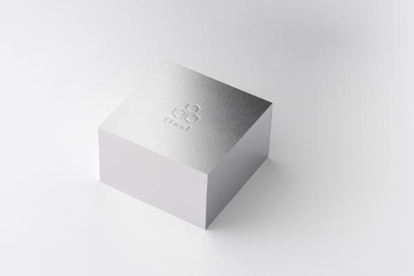 Final A10000 Referenz-In-Ear-Hörer