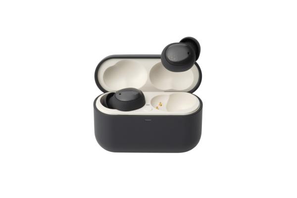 Final ZE500 True-Wireless-In-Ear-Hörer
