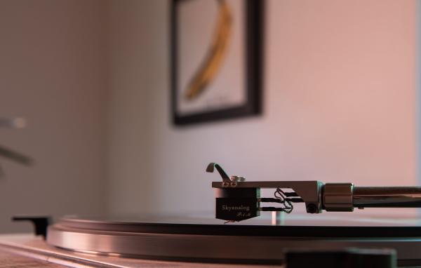 Skyanalog P1 M Moving-Coil System