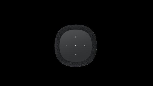 WiiM Sound Lite Smart Speaker