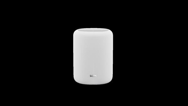 WiiM Sound Lite Smart Speaker